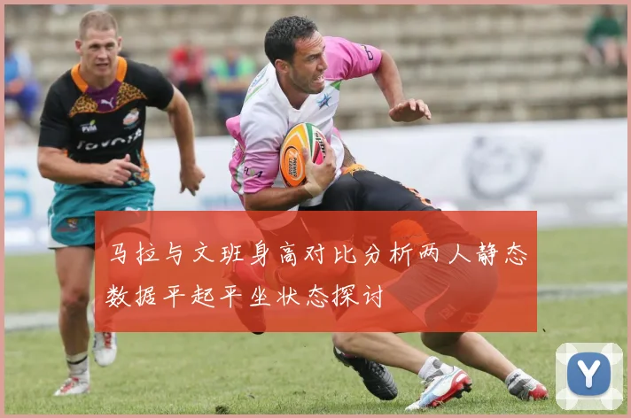 马拉与文班身高对比分析两人静态数据平起平坐状态探讨